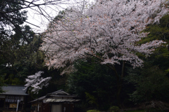 200403c小倉神社56