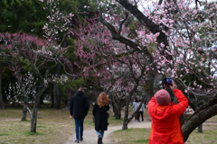 240308a京都御苑20