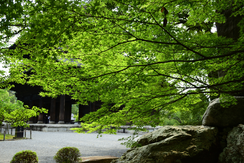 210514南禅寺50