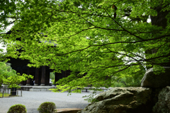 210514南禅寺50
