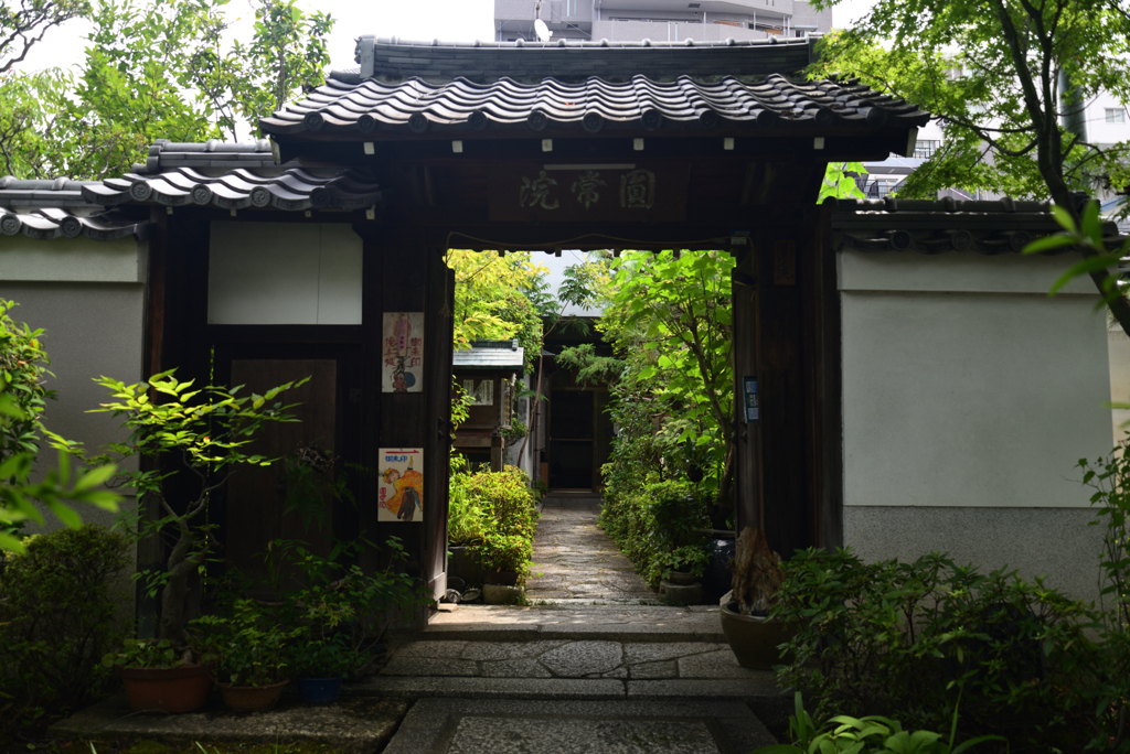 210811a妙蓮寺06