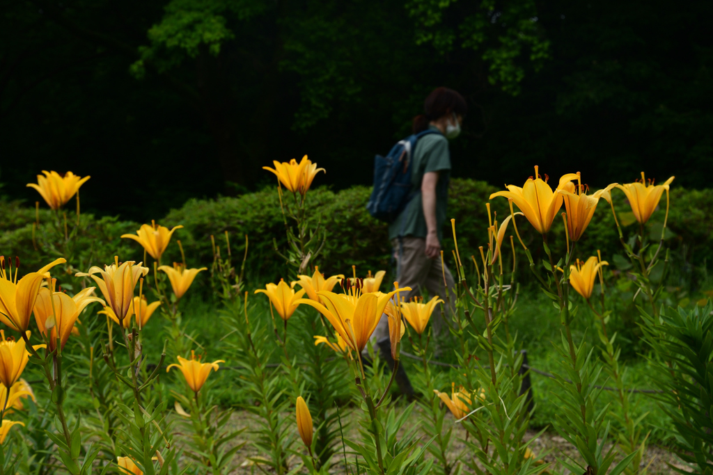 230610b長居植物園70