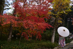 241215b下鴨神社12