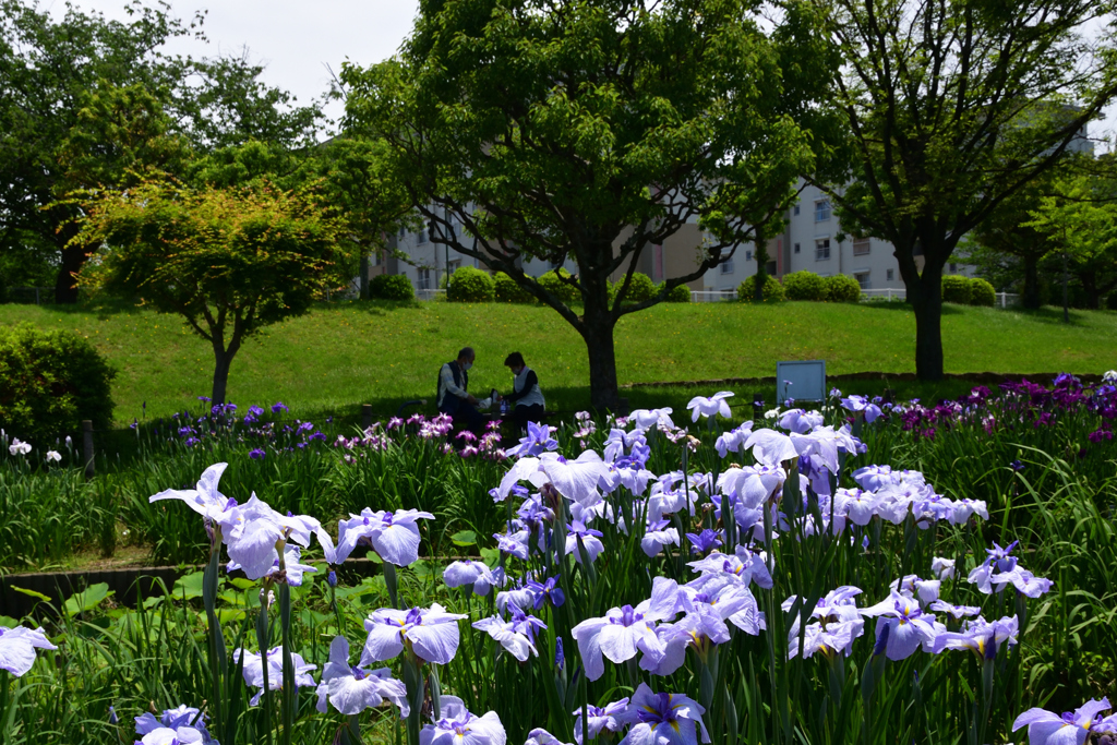 210529a白鷺公園17
