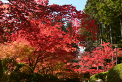 211103高野山48