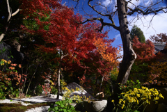 241208a西陣興聖寺27