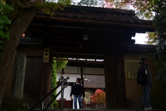 241123b金福寺20