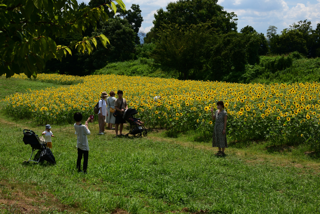 210808馬見丘陵公園51
