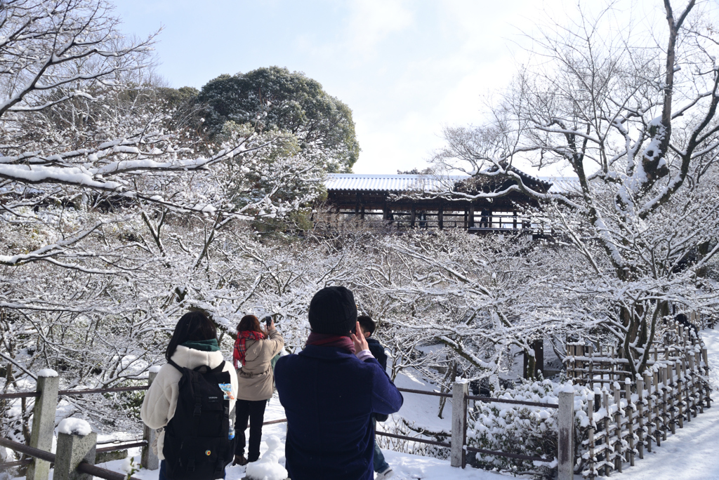 250208a東福寺32