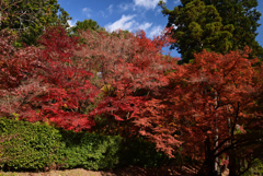 211203a光明寺36