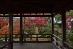 191130a大覚寺55