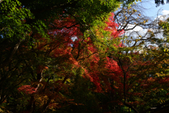 221104d宝泉院10