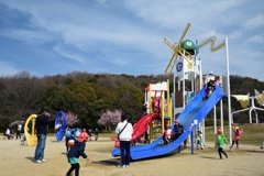 180302荒山公園26+