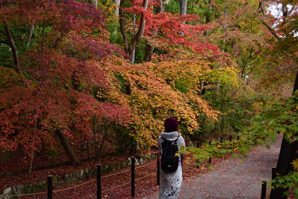 201129a光明寺42