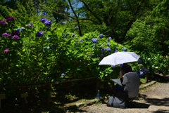 200623京都植物園06
