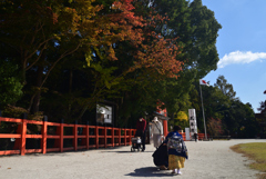 221108a上賀茂神社01