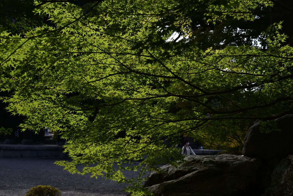 211024e南禅寺19