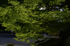 211024e南禅寺19