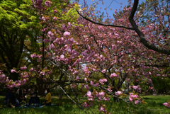 220412a京都御苑39