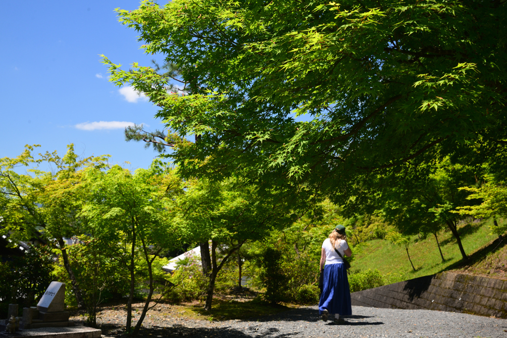 240514b圓光寺27
