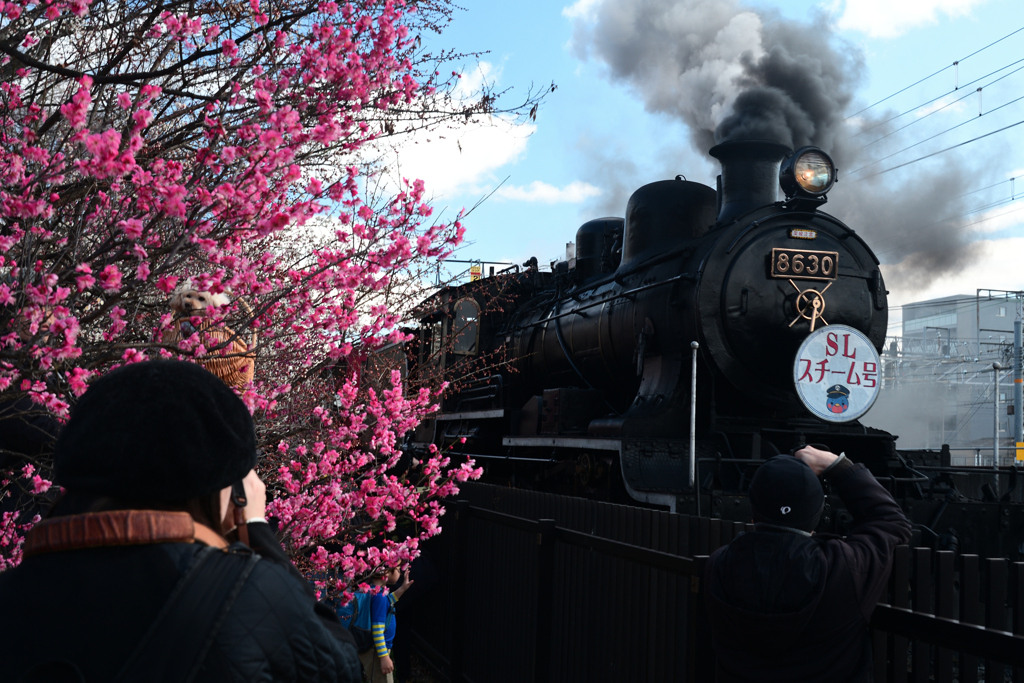 240212c梅小路公園38