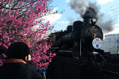 240212c梅小路公園38