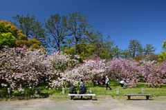 210410b京都御苑02