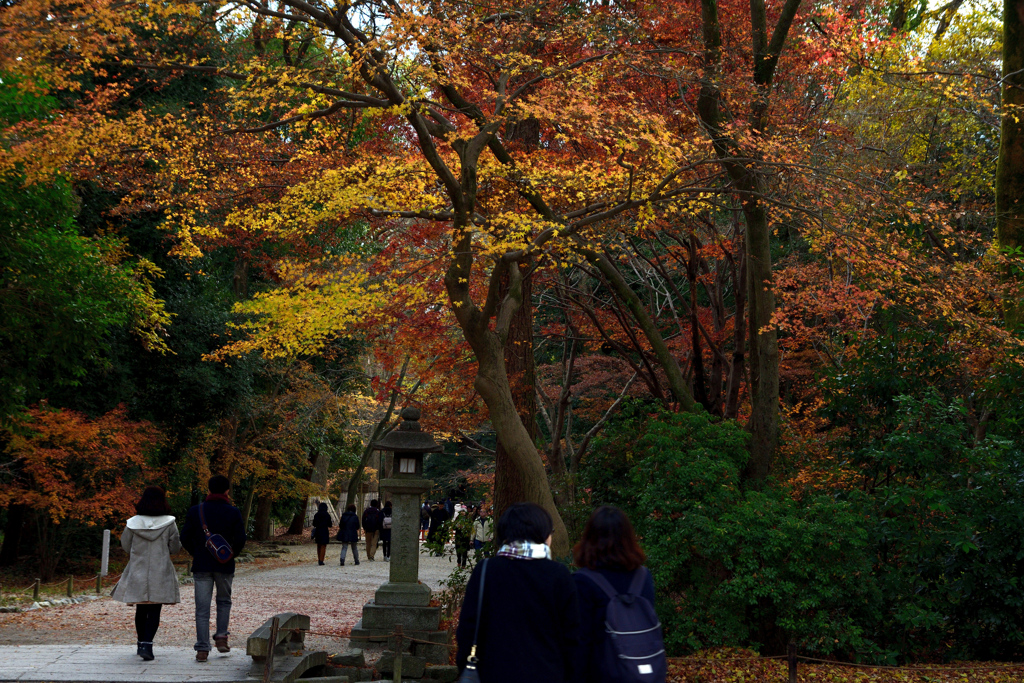 171209e下鴨神社64+