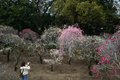 200213a道明寺天満宮39 200213a道明寺天満宮39