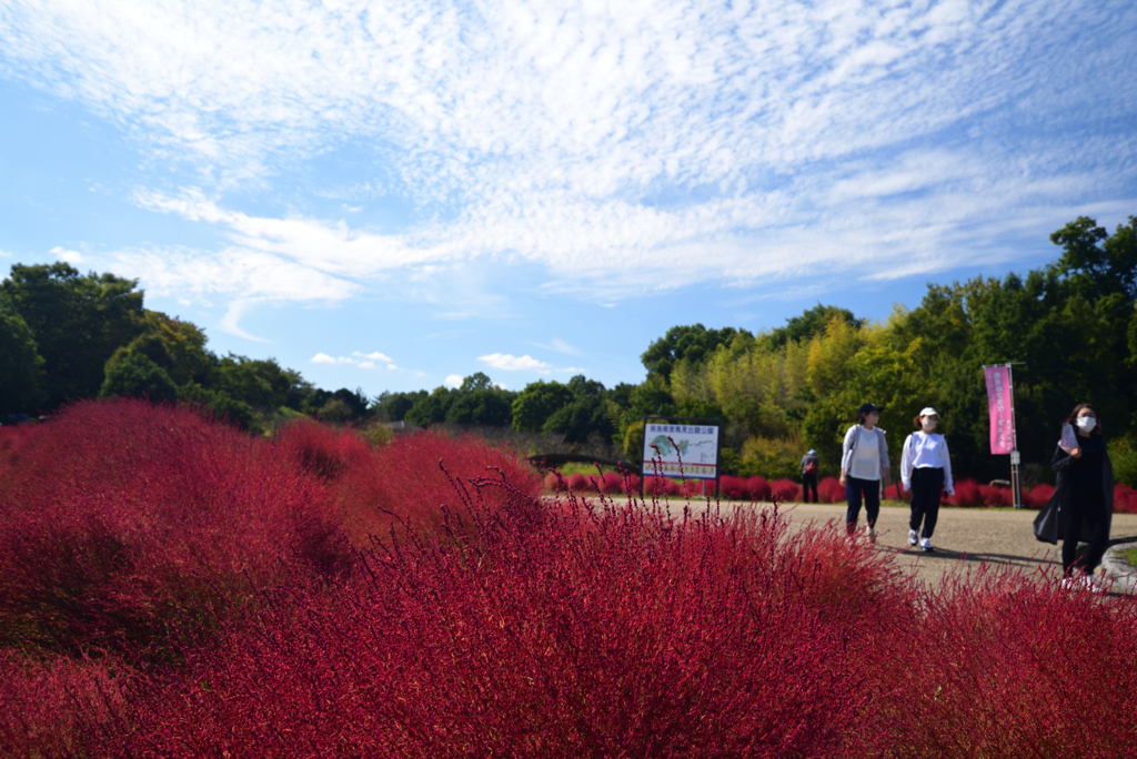 221014馬見丘陵公園55