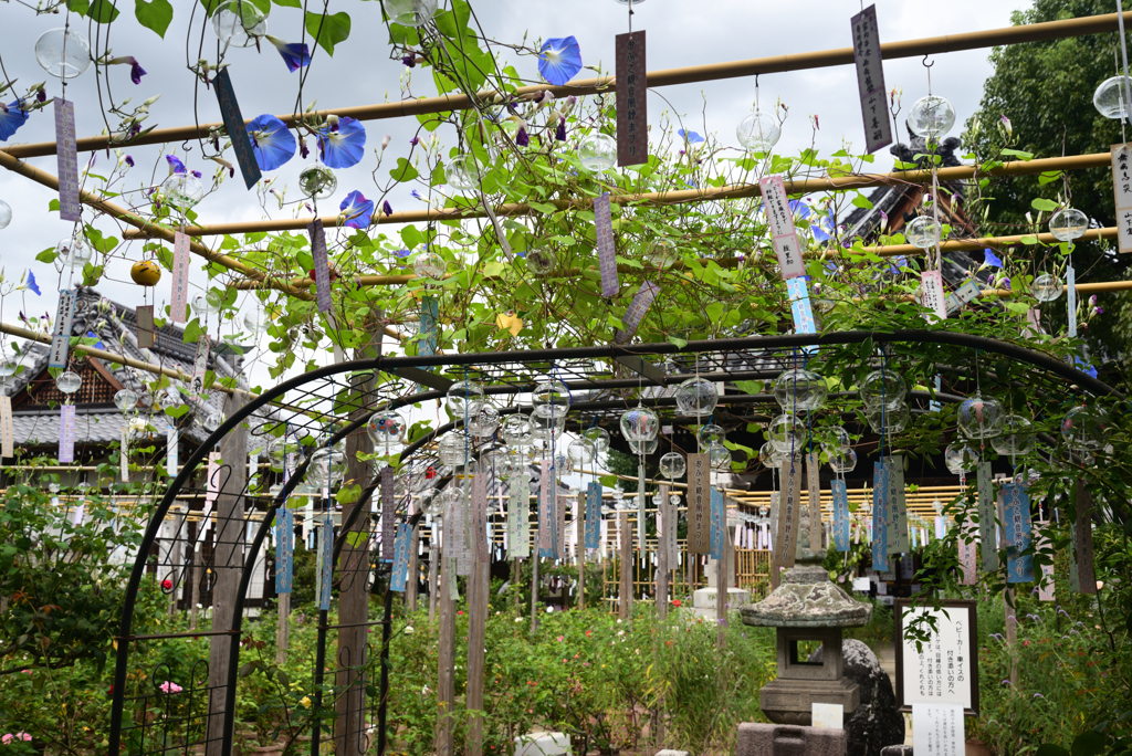 220921cおふさ観音04