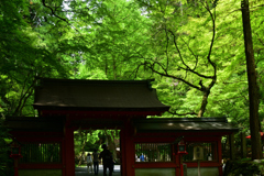 230528c貴船34