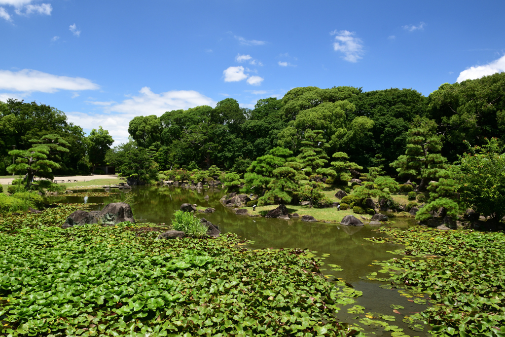 220723a慶沢園33