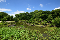 220723a慶沢園33