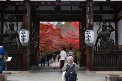 231123a石山寺03