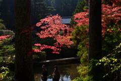 201108円成寺12