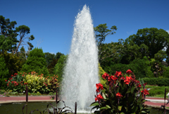 190917京都植物園47