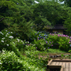 210624京都植物園34