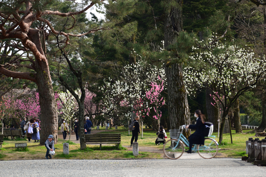 220325d京都御苑33