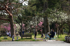 220325d京都御苑33