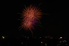 190725天神祭花火14
