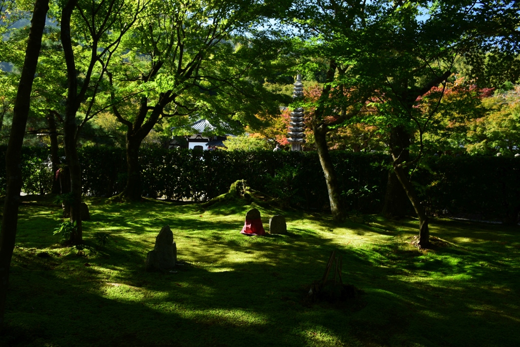 171027c化野念仏寺39