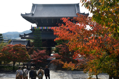 251111a金戒光明寺11