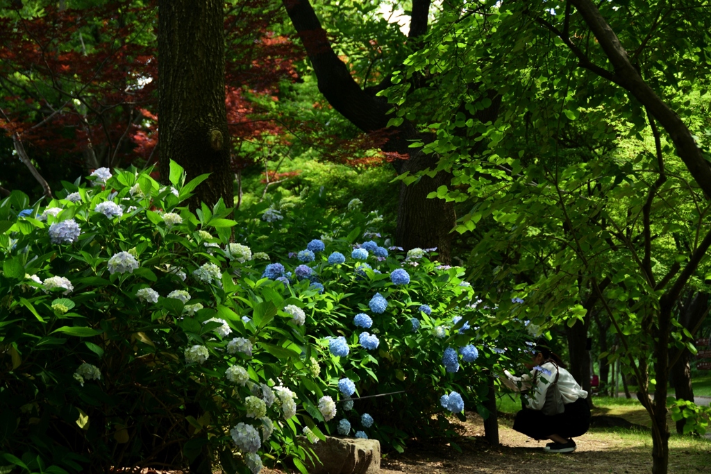 180603長居植物園61+