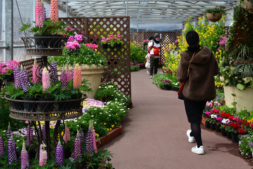 240217a京都植物園49