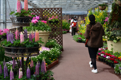 240217a京都植物園49