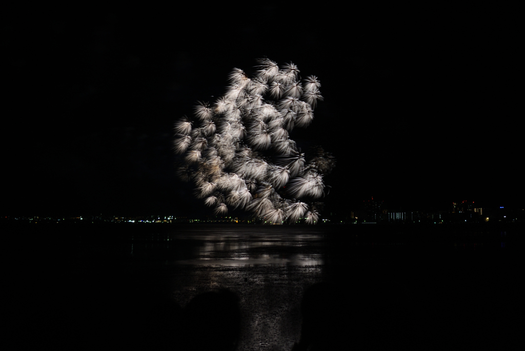 190808びわ湖花火30