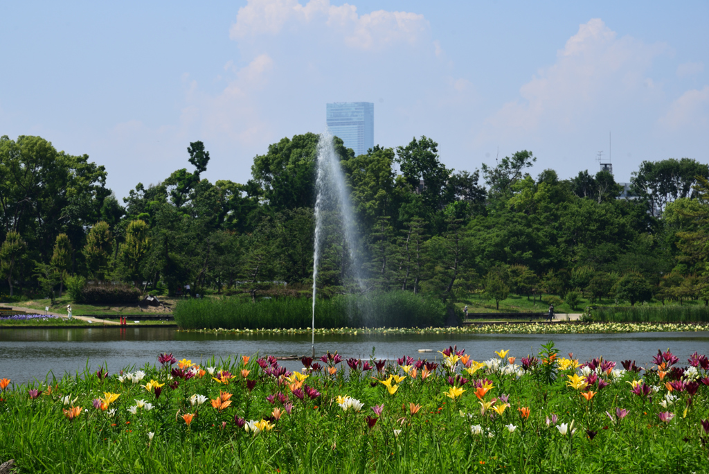 190620長居植物園75
