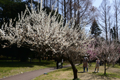 230311京都植物園16