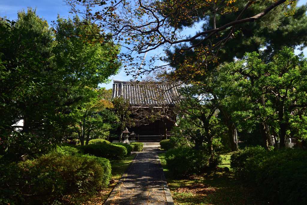 191028d養源院57